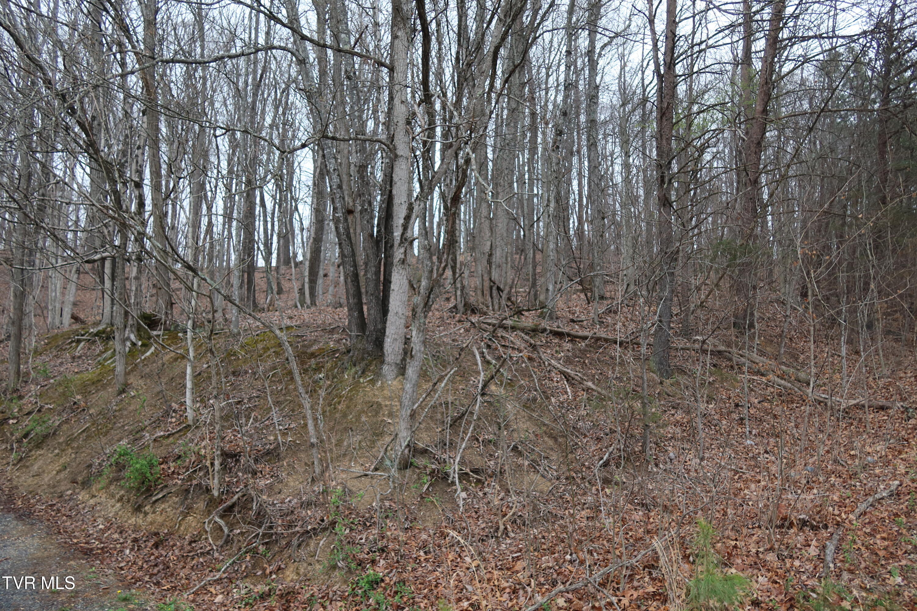 Tbd Possum Hollow Road, Unit 5 Johnson City, TN 37615 - Photo 8 of 8 IMG_8411