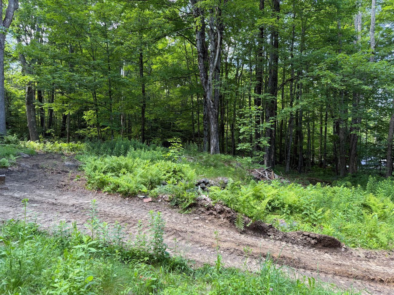 550 Kings Highway Stoddard, NH 03464 - Photo 4 of 17
