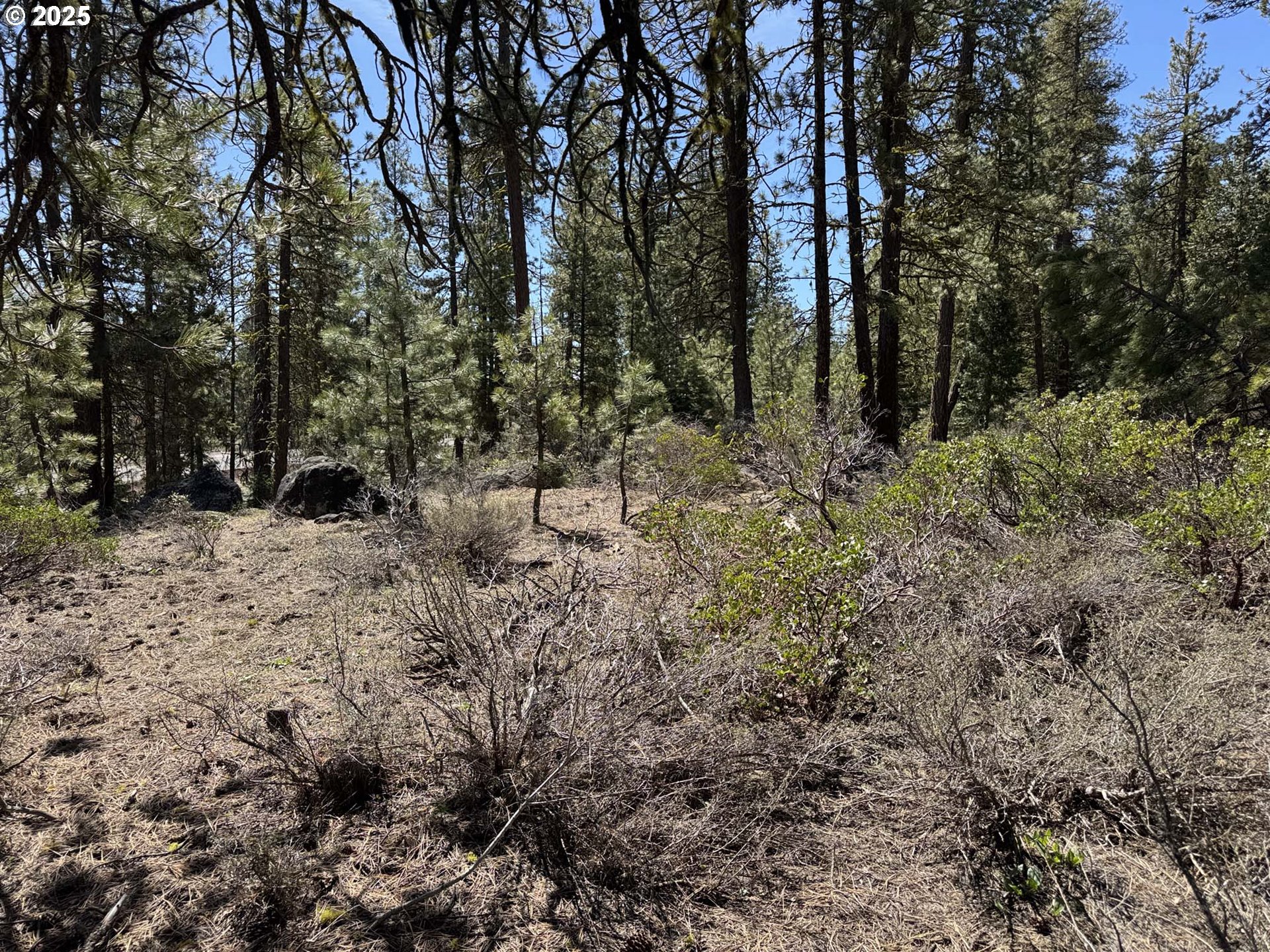Horned Owl Lane Bonanza, OR 97623 - Photo 26 of 44