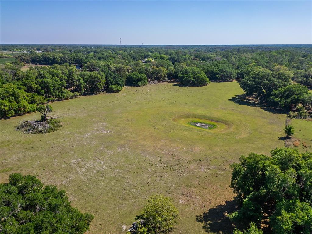 Carlton Road Dover, FL 33527 - Photo 13 of 63