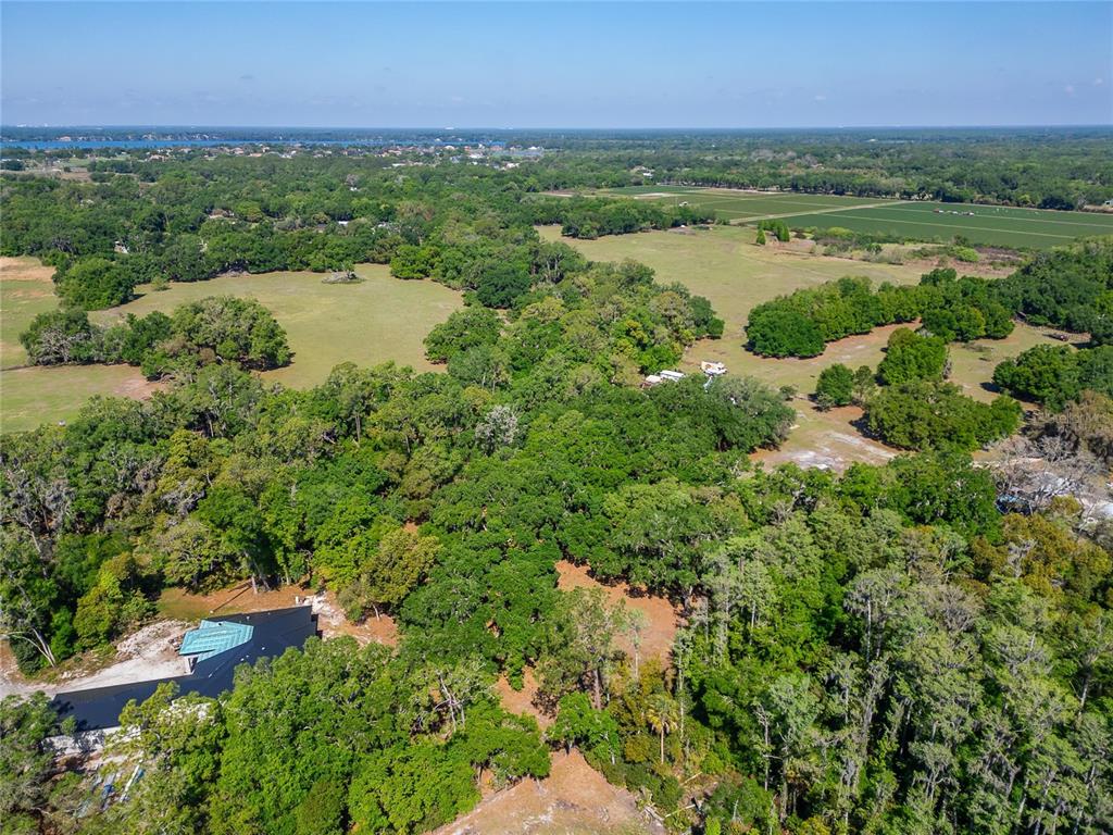 Carlton Road Dover, FL 33527 - Photo 20 of 63