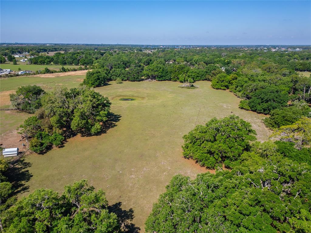 Carlton Road Dover, FL 33527 - Photo 22 of 63