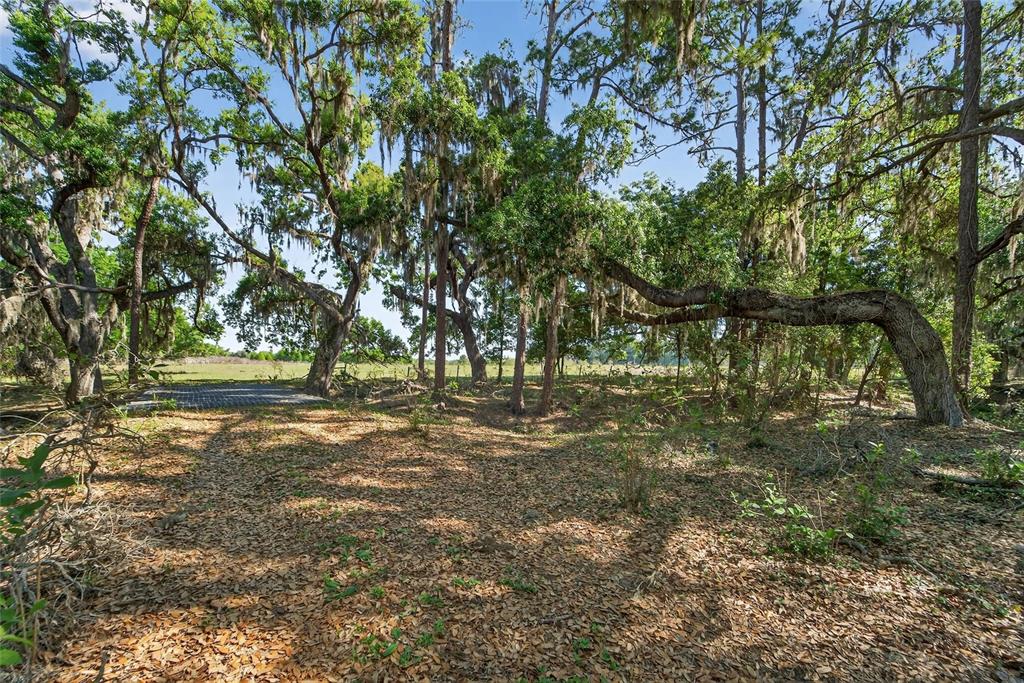 Carlton Road Dover, FL 33527 - Photo 30 of 63
