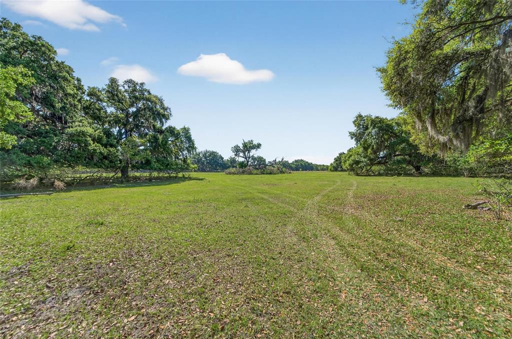 Carlton Road Dover, FL 33527 - Photo 32 of 63