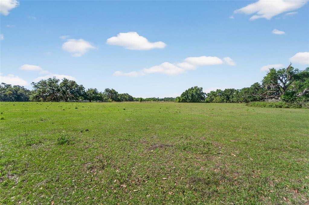 Carlton Road Dover, FL 33527 - Photo 35 of 63