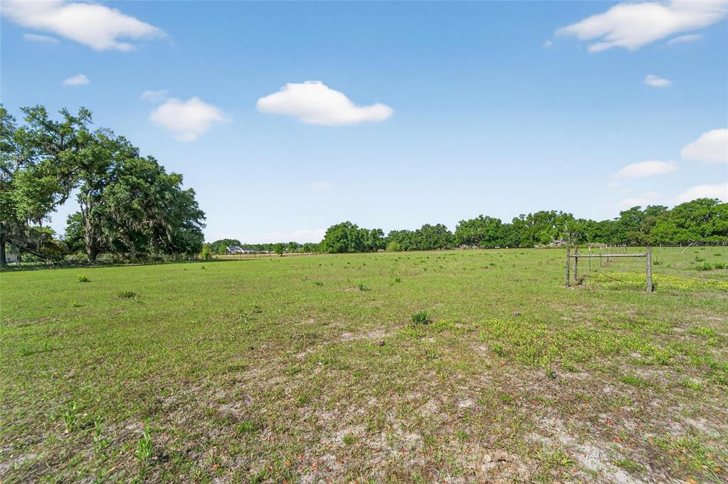 Carlton Road Dover, FL 33527 - Photo 41 of 63