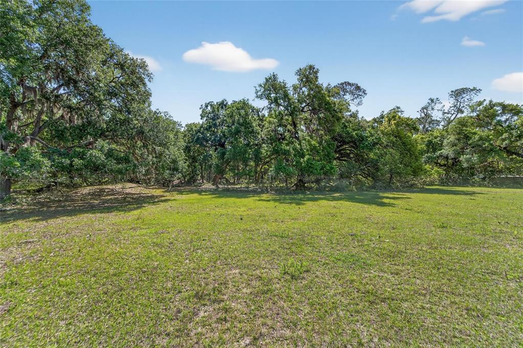 Carlton Road Dover, FL 33527 - Photo 42 of 63