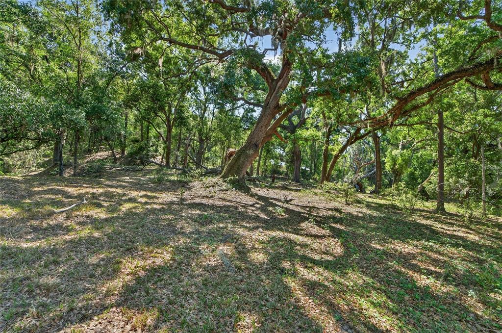 Carlton Road Dover, FL 33527 - Photo 44 of 63