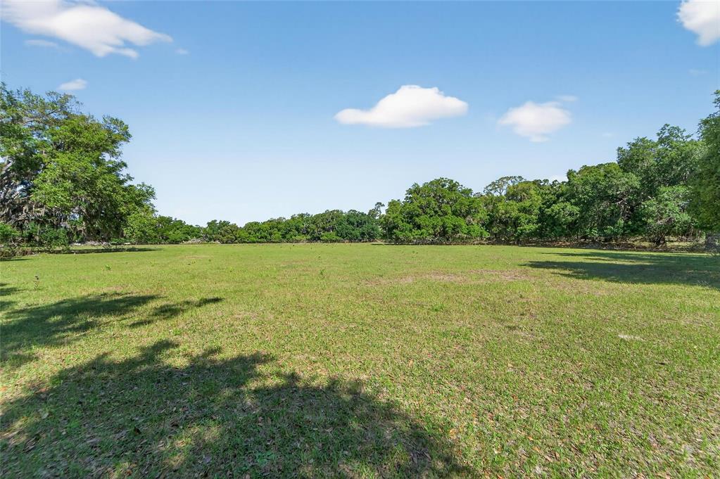 Carlton Road Dover, FL 33527 - Photo 48 of 63