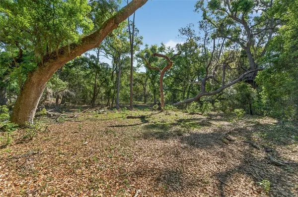 $649,226 | Carlton Road, Dover, FL 33527