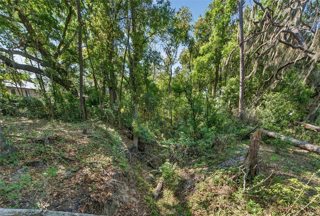 Carlton Road Dover, FL 33527 - Photo 51 of 63