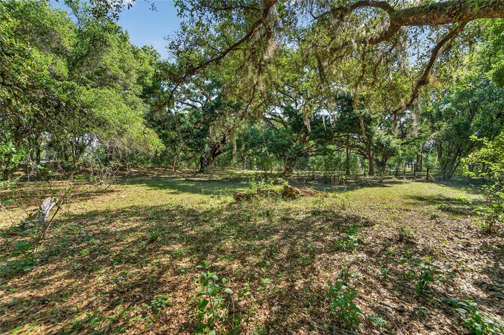 Carlton Road Dover, FL 33527 - Photo 53 of 63