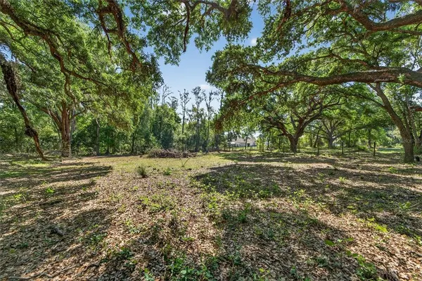 $649,226 | Carlton Road, Dover, FL 33527