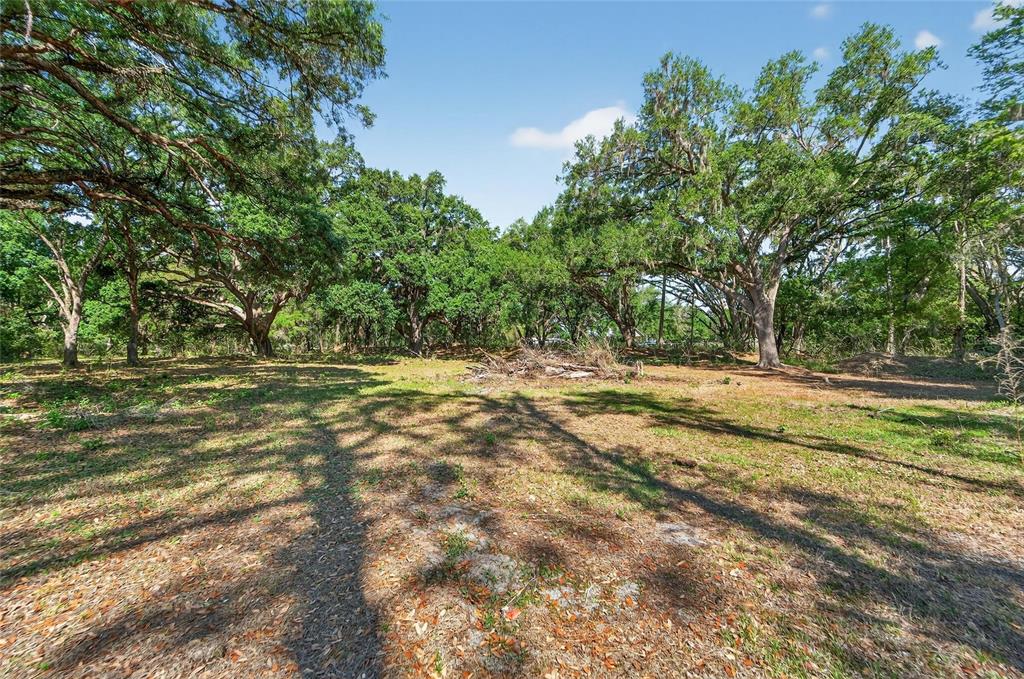 Carlton Road Dover, FL 33527 - Photo 55 of 63