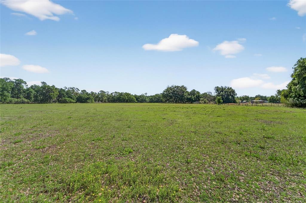 Carlton Road Dover, FL 33527 - Photo 60 of 63