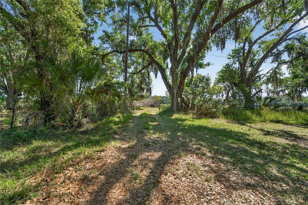 Carlton Road Dover, FL 33527 - Photo 62 of 63