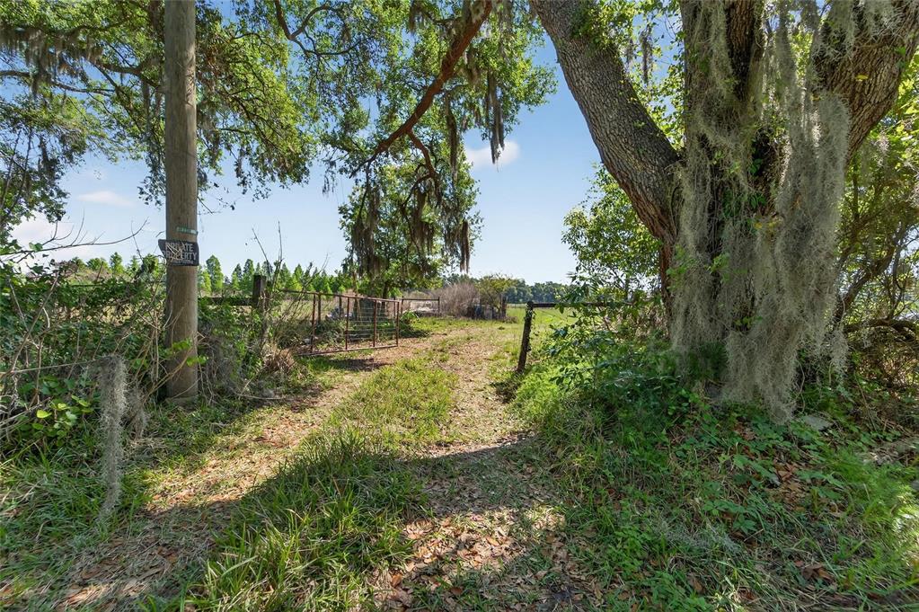 Carlton Road Dover, FL 33527 - Photo 63 of 63