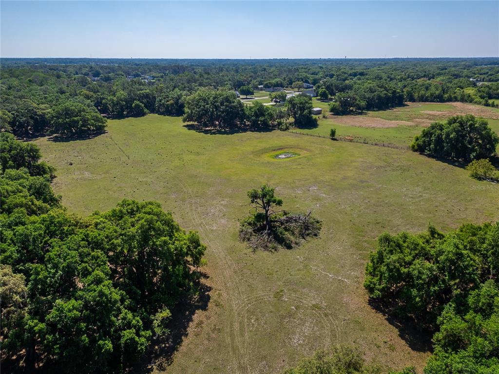 Carlton Road Dover, FL 33527 - Photo 10 of 63