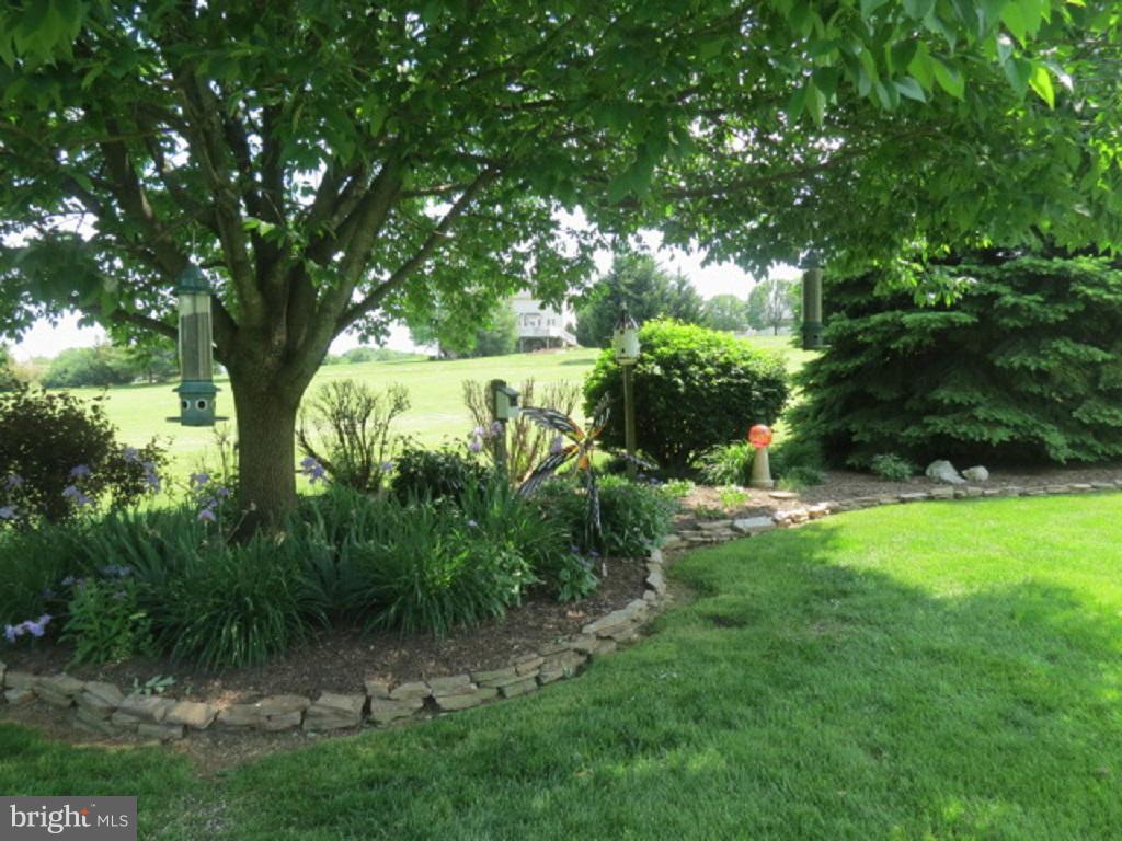 6133 Yorktown Road Mount Airy, MD 21771 - Photo 6 of 30 Beautiful open backyard