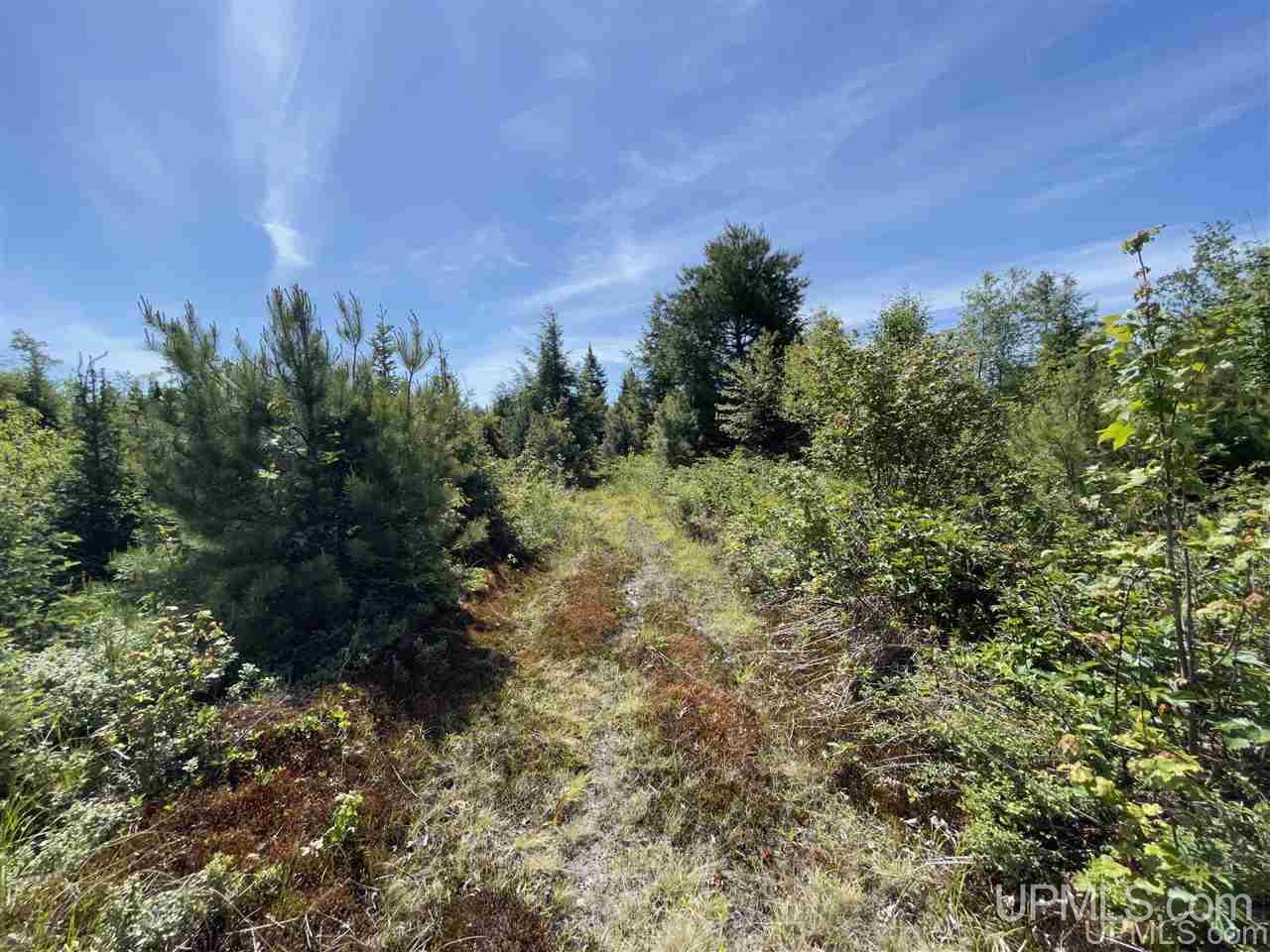 Tbd Off Cooks Lake Road, Unit 1 Wetmore, MI 49895 - Photo 14 of 19