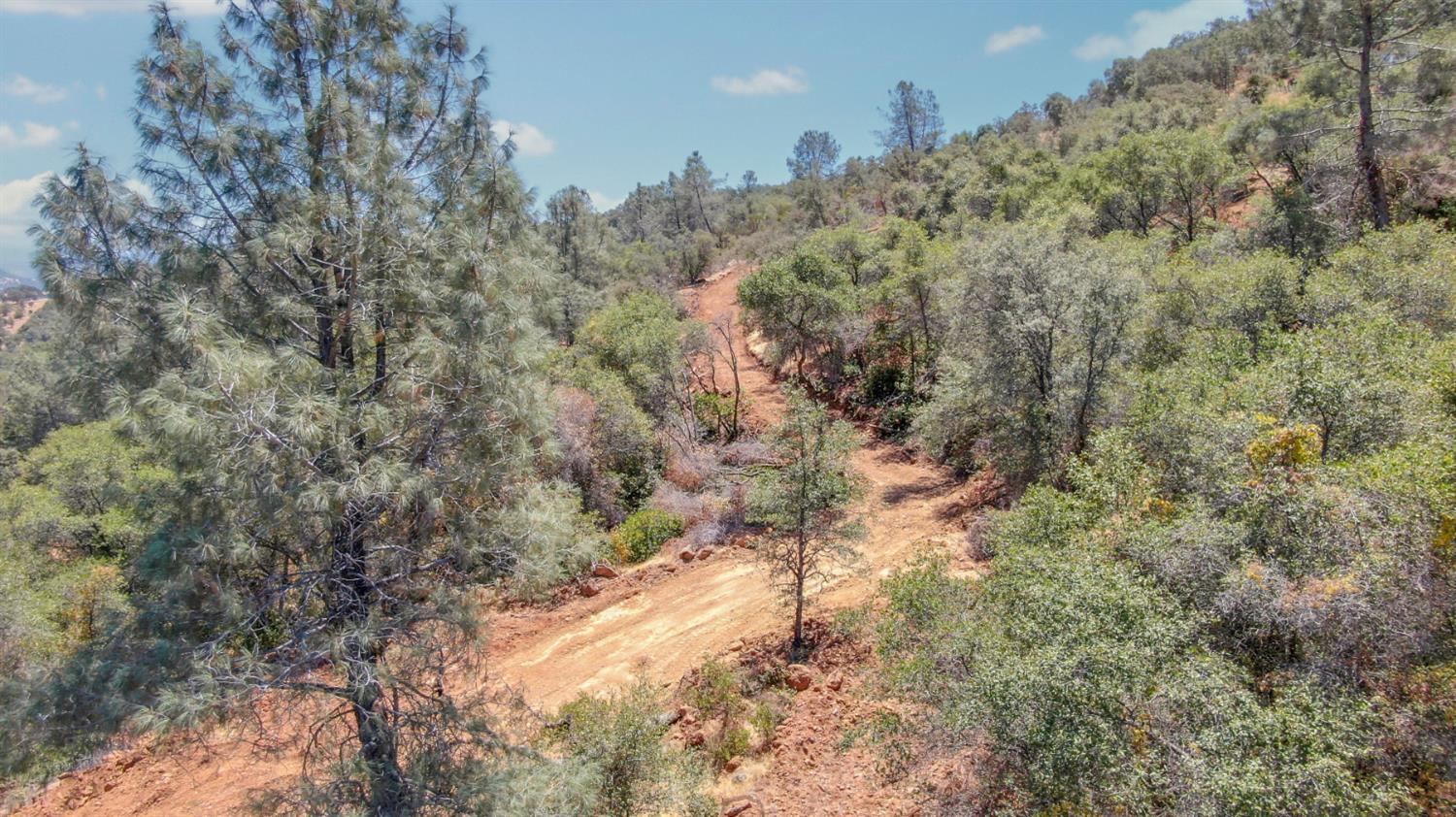 1480 Gelding Road Angels Camp, CA 95222 - Photo 74 of 76
