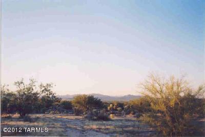 11801 South Wells Fargo Road, Unit 1 Tucson, AZ 85736 - Photo 2 of 5