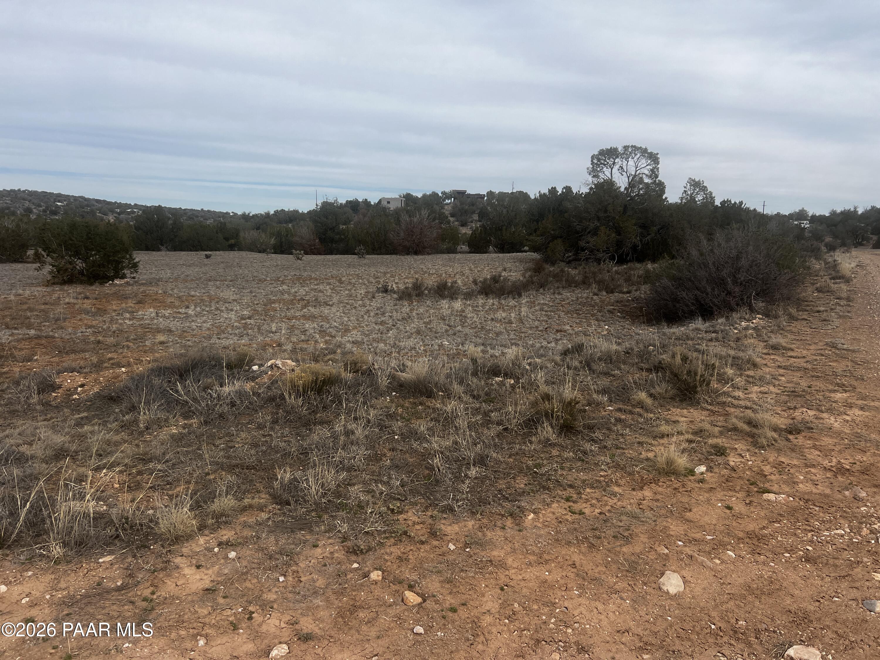 56255 North Bridge Canyon Road Seligman, AZ 86337 - Photo 1 of 6 a view of a field with trees in background