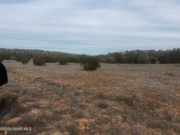 a view of an outdoor space and a yard