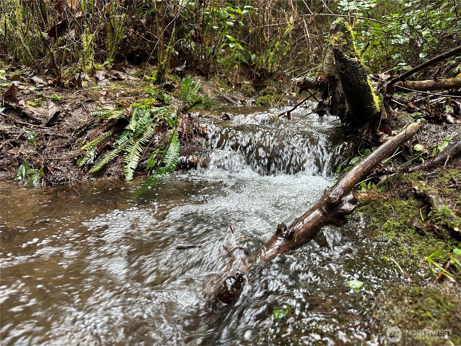 0 Studebaker Spur Castle Rock, WA 98611 - Photo 14 of 21