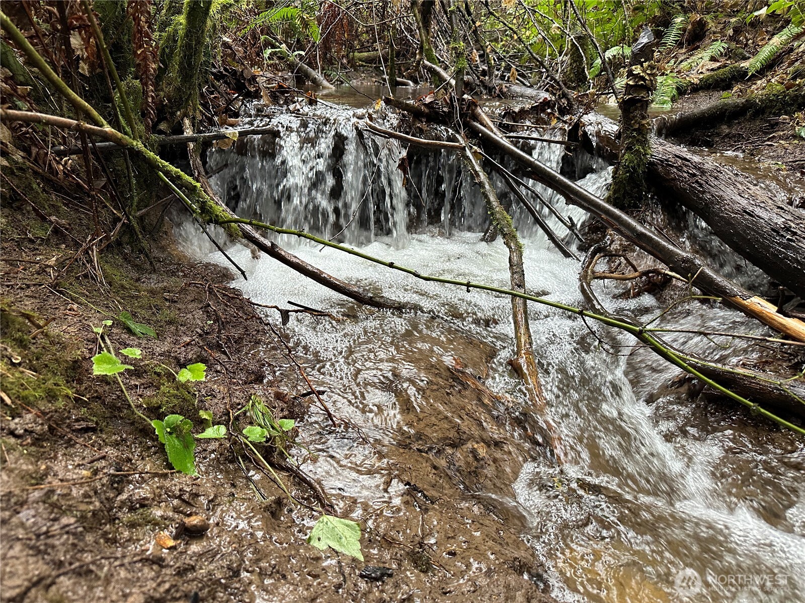 0 Studebaker Spur Castle Rock, WA 98611 - Photo 15 of 21