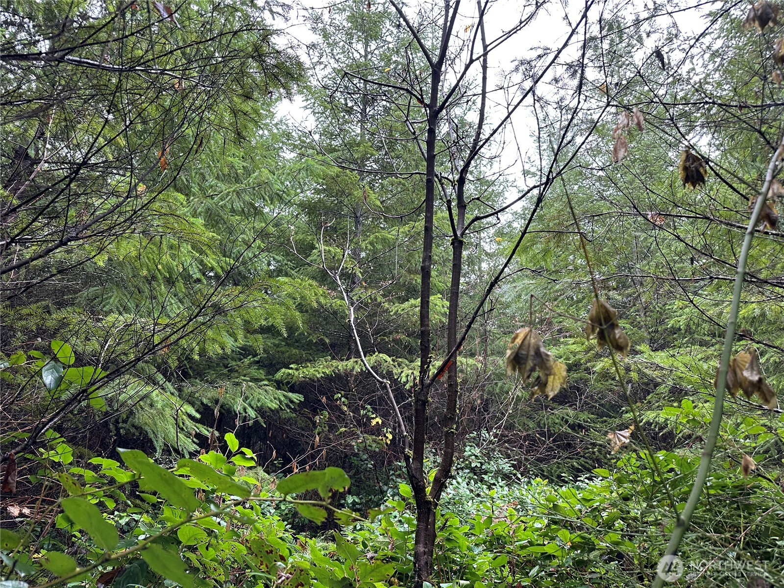 0 Studebaker Spur Castle Rock, WA 98611 - Photo 17 of 21