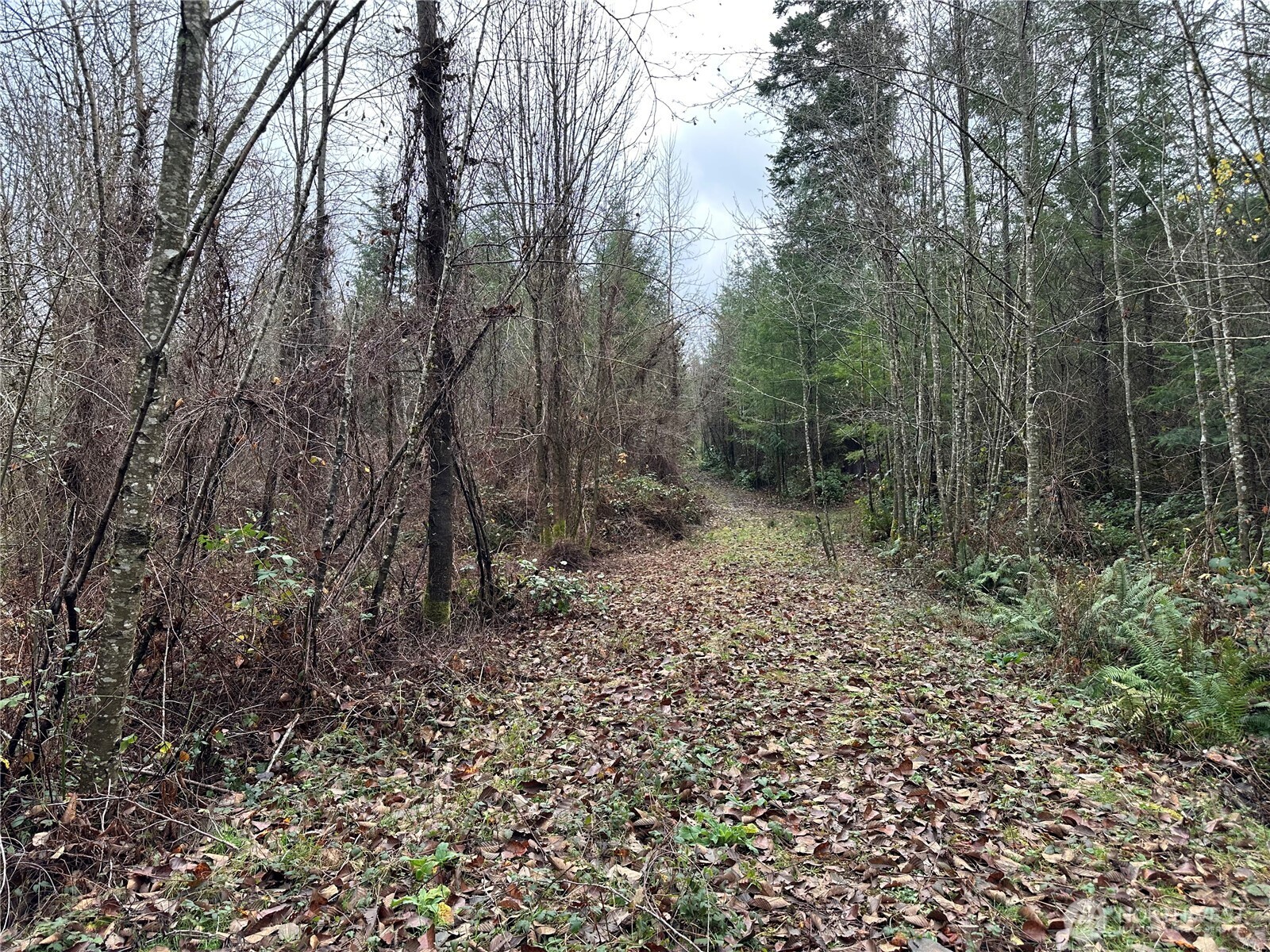 0 Studebaker Spur Castle Rock, WA 98611 - Photo 18 of 21