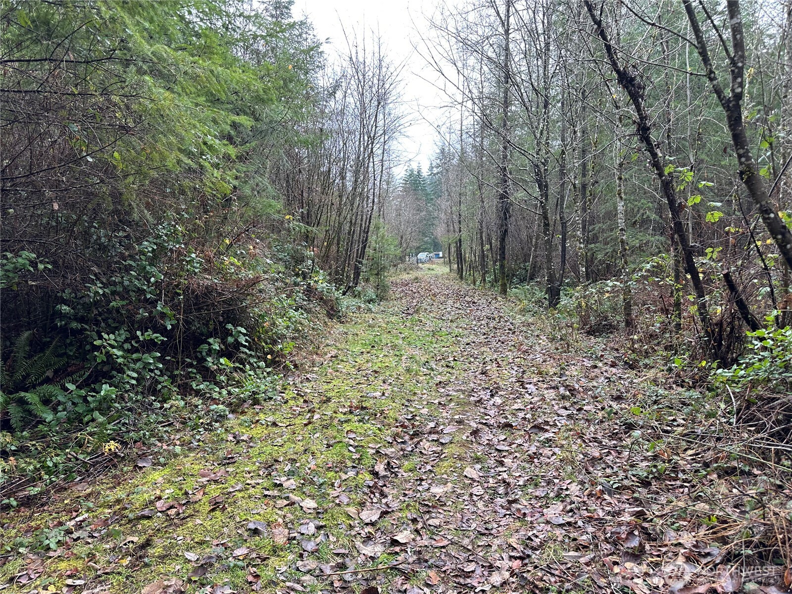 0 Studebaker Spur Castle Rock, WA 98611 - Photo 20 of 21