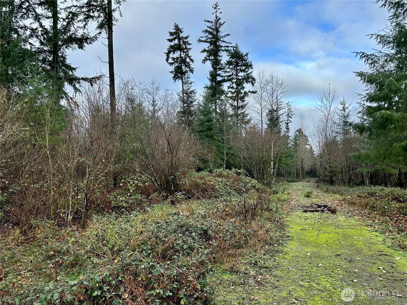 0 Studebaker Spur Castle Rock, WA 98611 - Photo 3 of 21