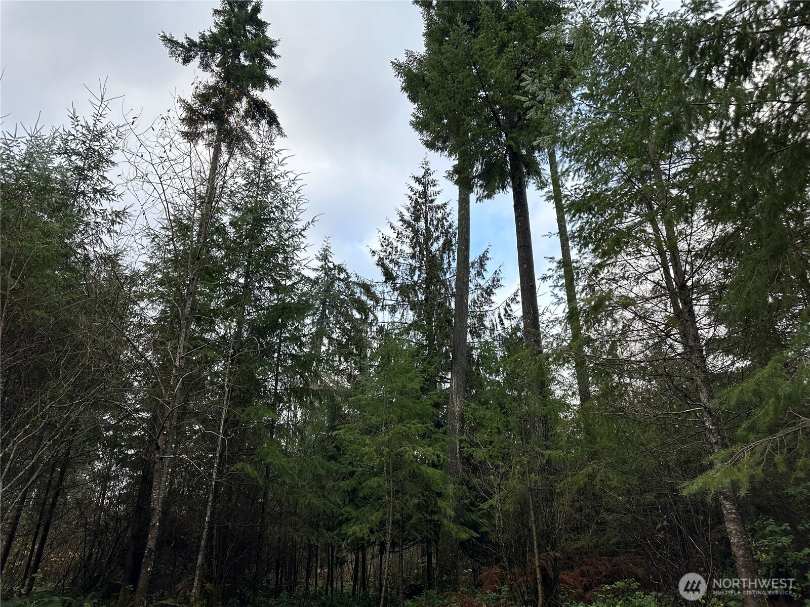 0 Studebaker Spur Castle Rock, WA 98611 - Photo 6 of 21