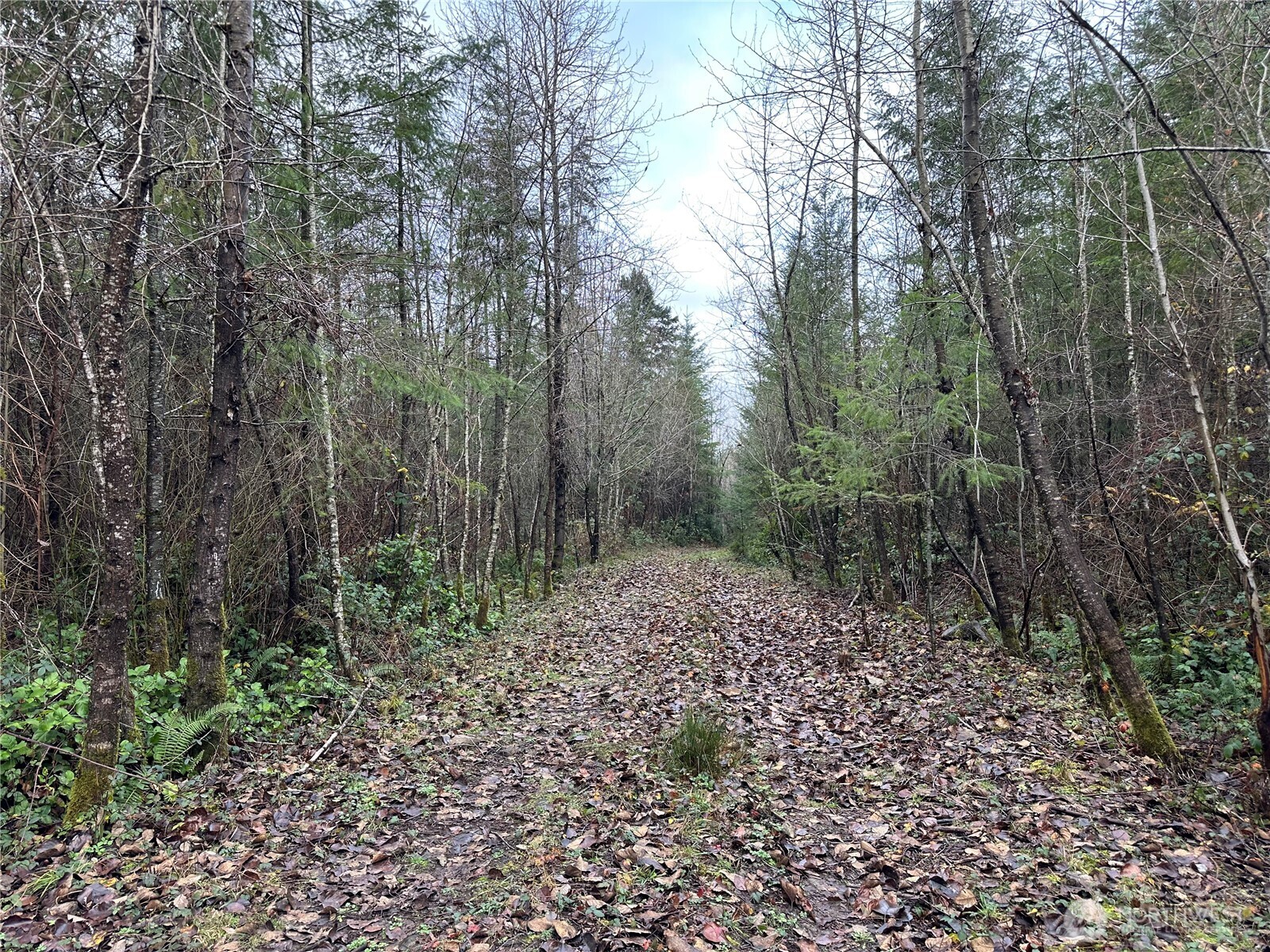 0 Studebaker Spur Castle Rock, WA 98611 - Photo 7 of 21