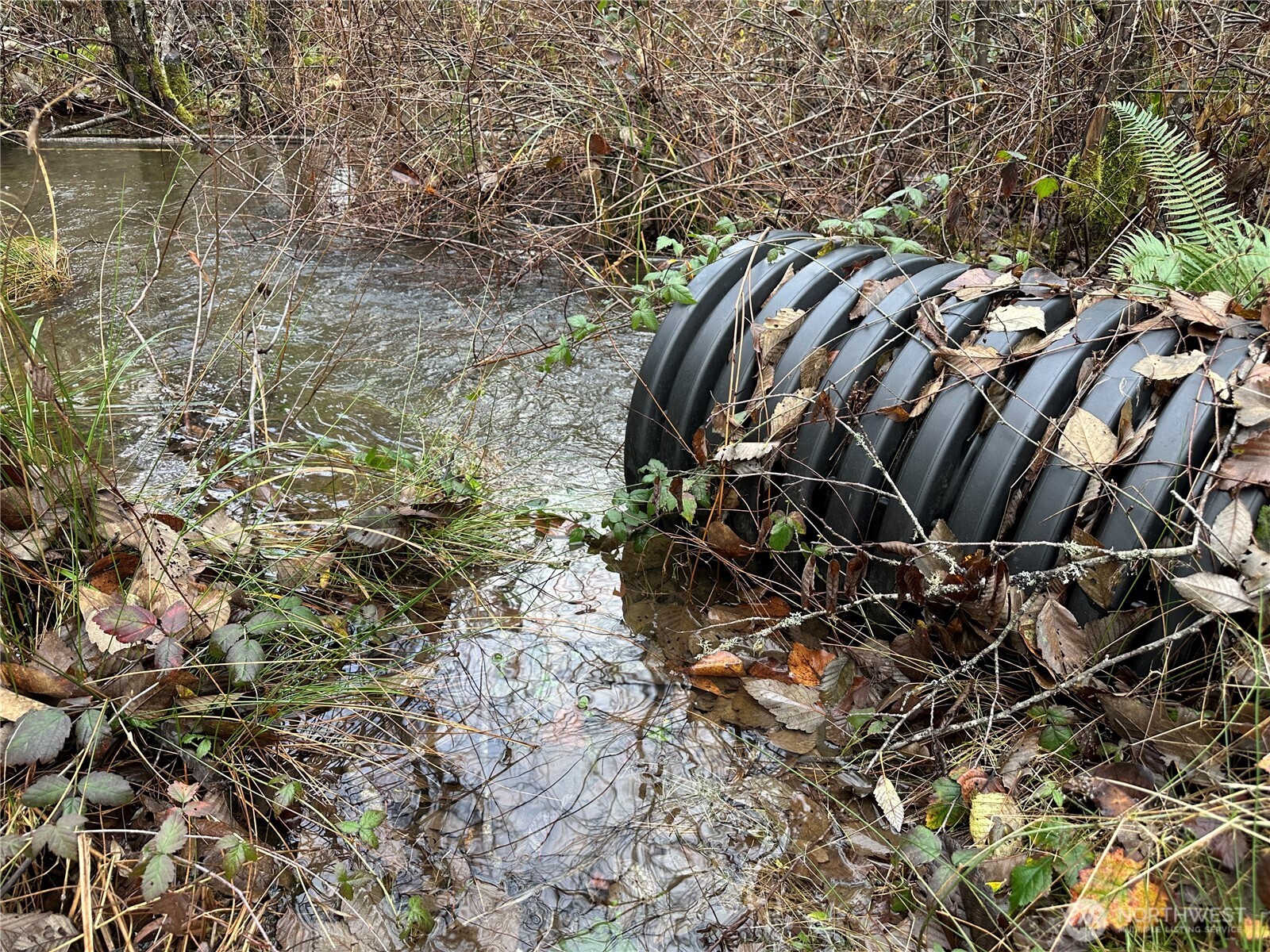 0 Studebaker Spur Castle Rock, WA 98611 - Photo 8 of 21