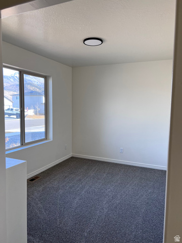 1696 South Longview Road Santaquin, UT 84655 - Photo 5 of 16 Unfurnished room featuring dark carpet and a textured ceiling