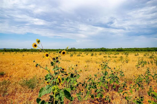 $1,000,000 | 981 County Road 177, Lawn, TX 79530