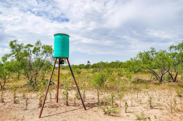 $1,000,000 | 981 County Road 177, Lawn, TX 79530