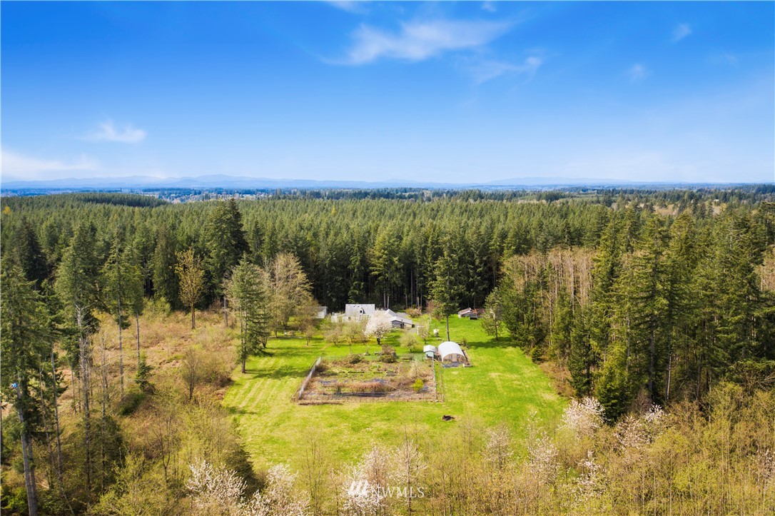 372 Dluhosh Road Onalaska, WA 98570 - Photo 3 of 25 Gallery Image 3