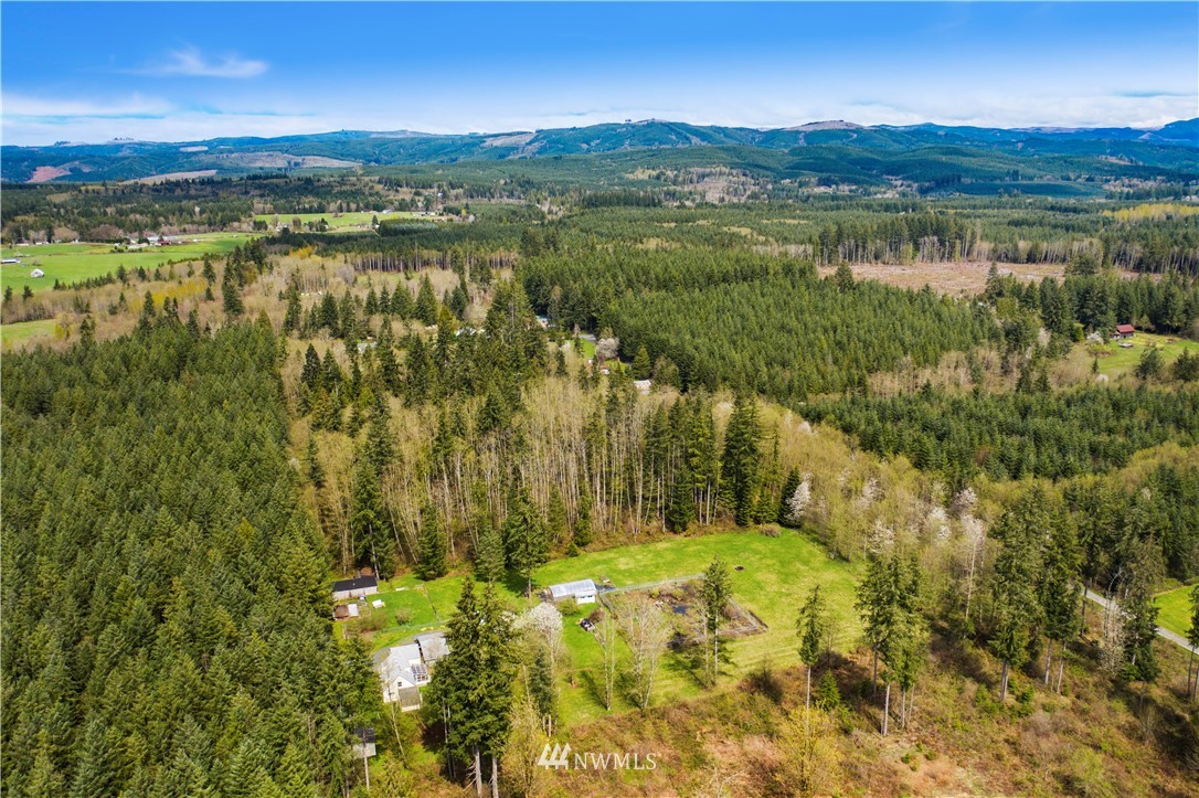 372 Dluhosh Road Onalaska, WA 98570 - Photo 25 of 25 Gallery Image 25