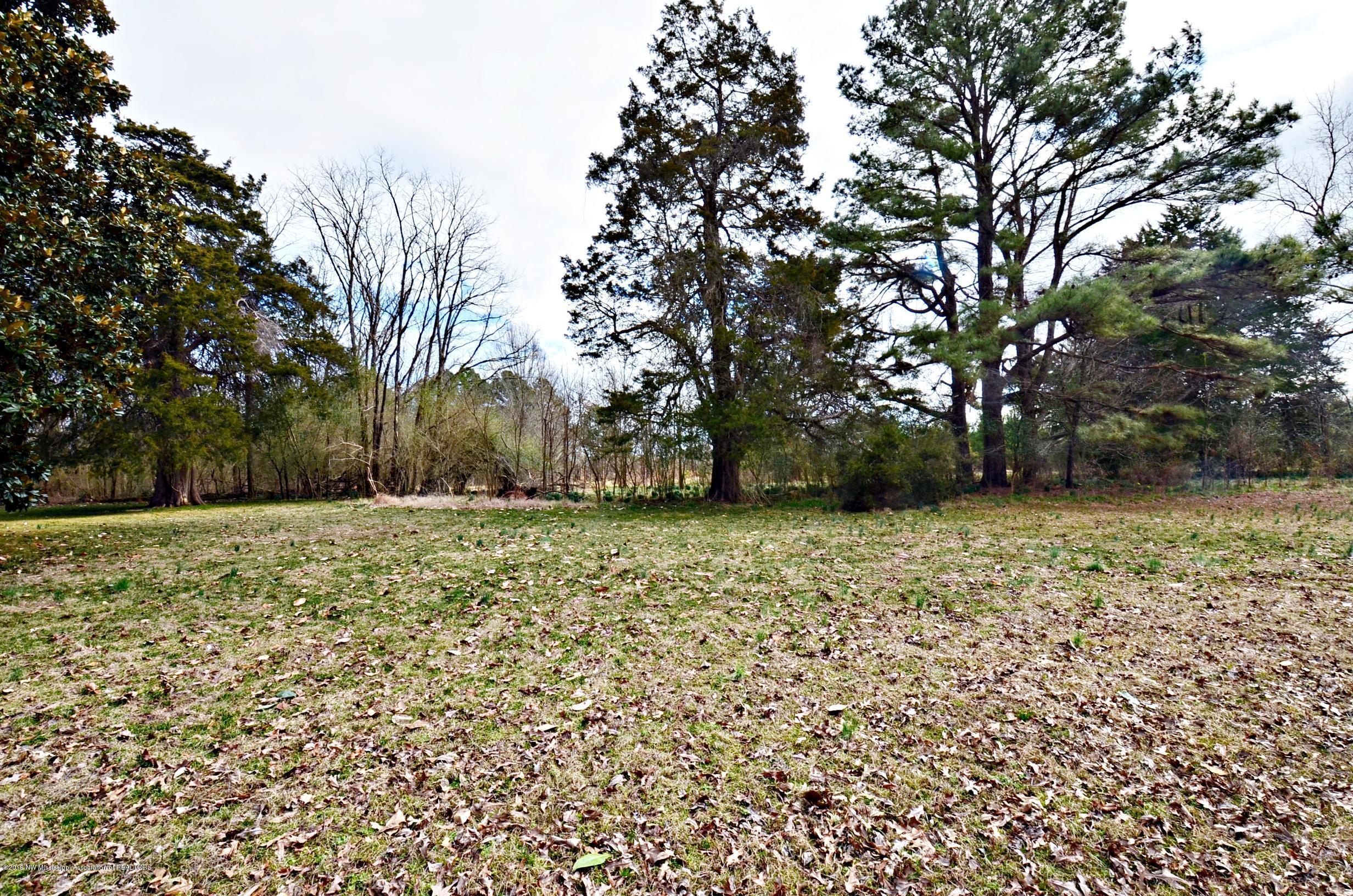 6719 Holston Road Como, MS 38619 - Photo 7 of 25 Front yard