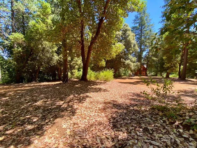 a view of pathway along with wooden floor