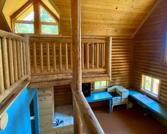 a view of a yard with plants and trees