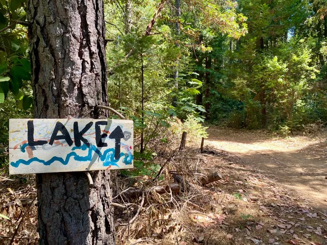 a view of a door and chair