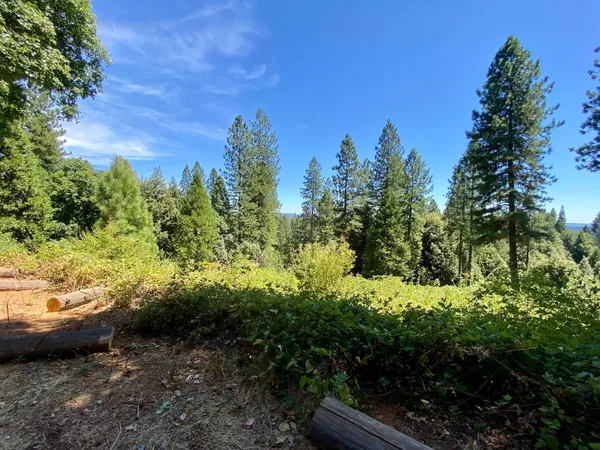 $199,000 | 17385 Ashbury Way, Camptonville, CA 95922