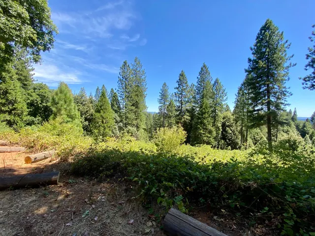 $250,000 | 17385 Ashbury Way, Camptonville, CA 95922