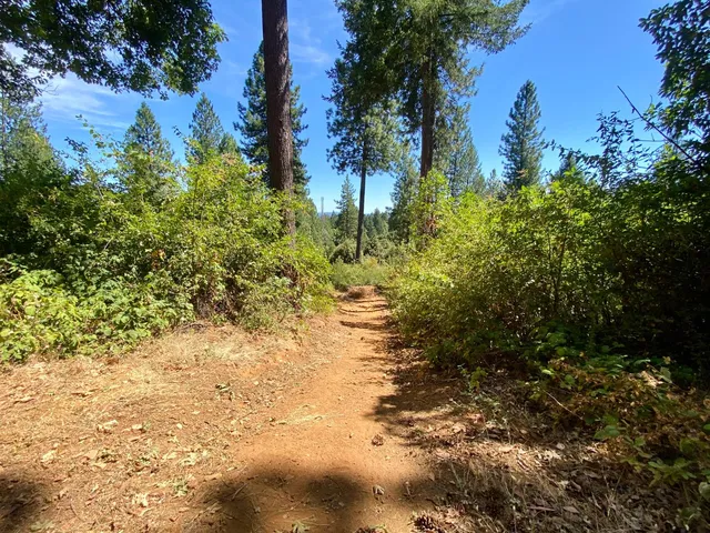 $250,000 | 17385 Ashbury Way, Camptonville, CA 95922