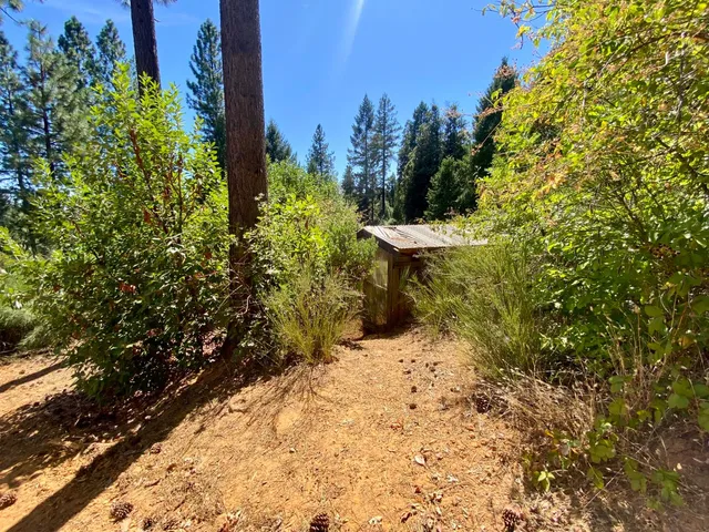 $250,000 | 17385 Ashbury Way, Camptonville, CA 95922